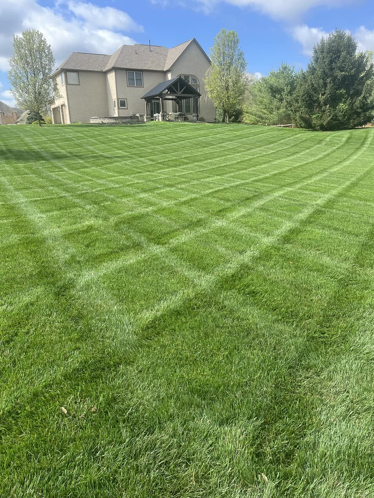 Wide striped backyard lawn behind a home