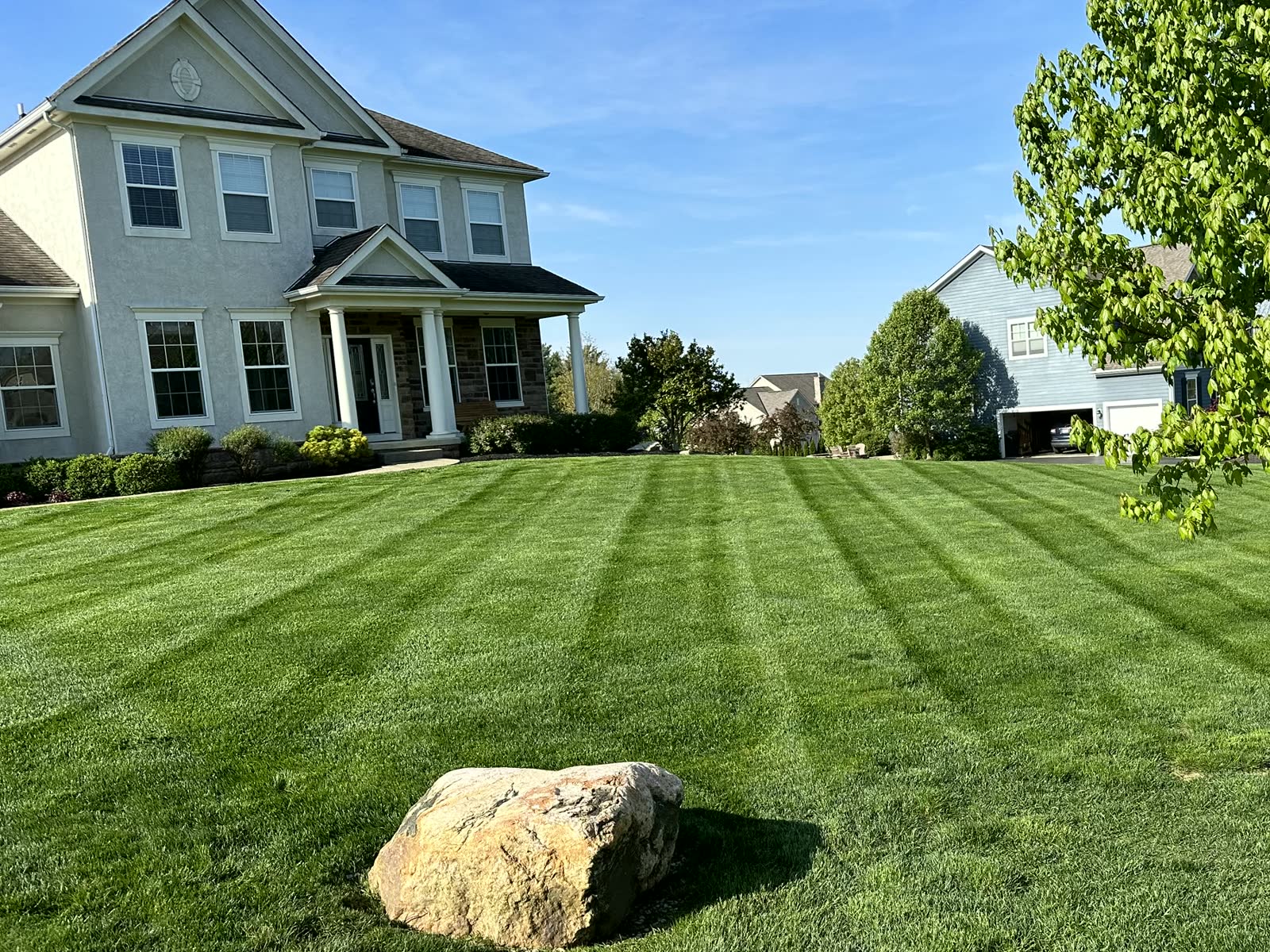 Striped front lawn with a boulder and shade tree