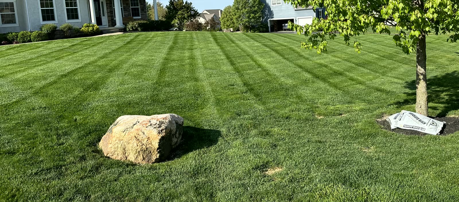 Front lawn and shade tree at a two-story home